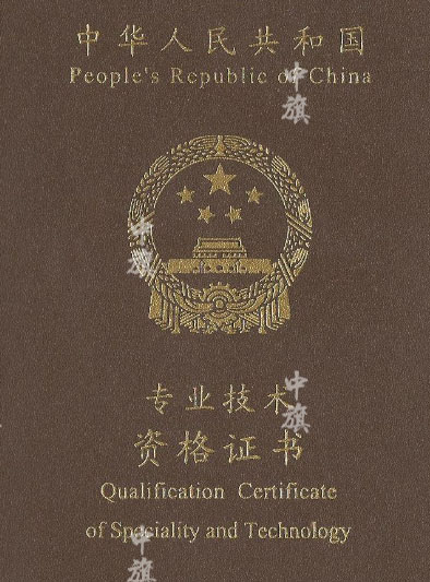 专业技术资格证书示例图
