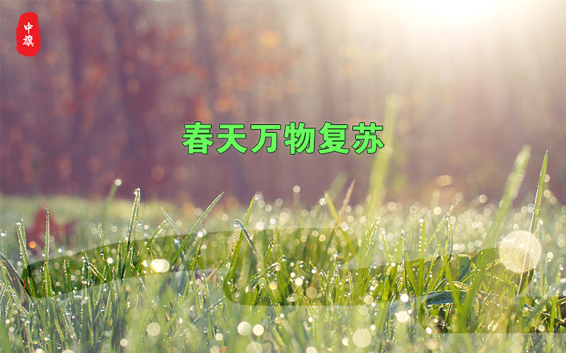 春天万物复苏的季节
