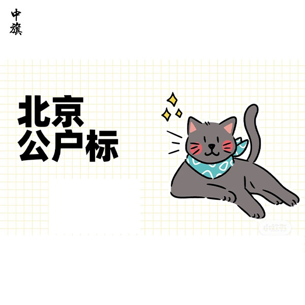 企业京牌必备！2025年北京公户车指标详解