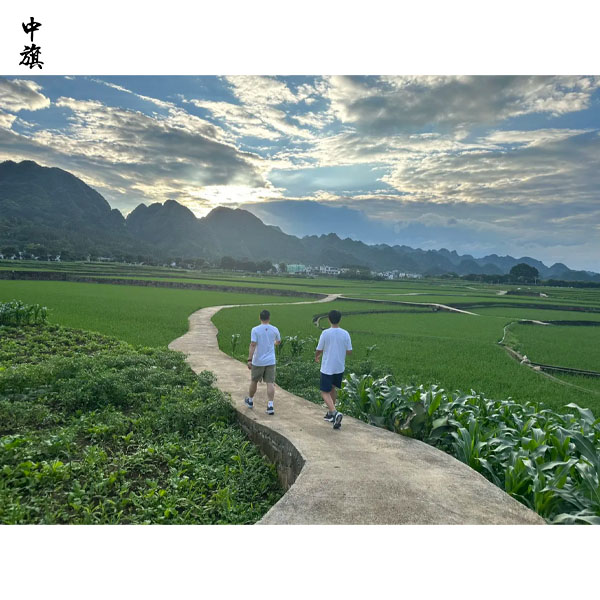 有限责任公司股东人数怎么定？