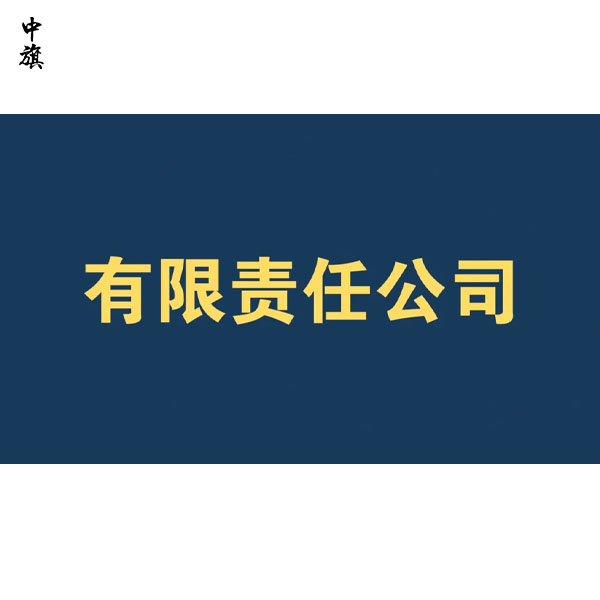 有限责任公司是什么意思？