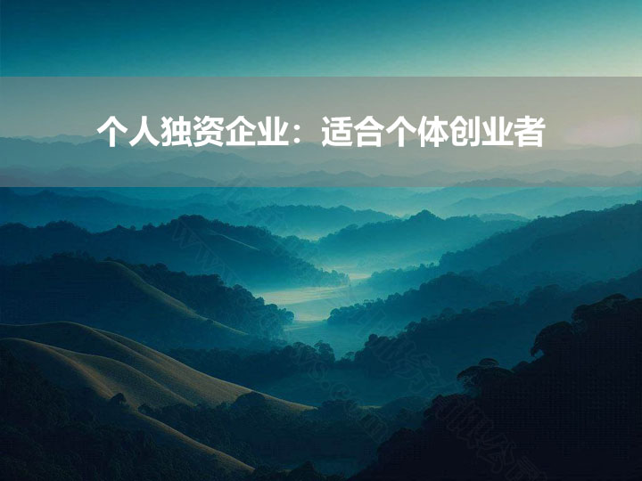 个人独资企业：适合个体创业者.jpg