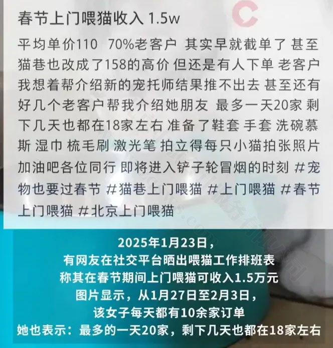 春节期间上门喂猫.jpg