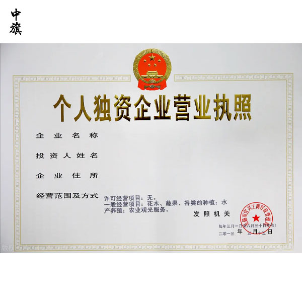 一个自然人能投资多个一人公司吗？