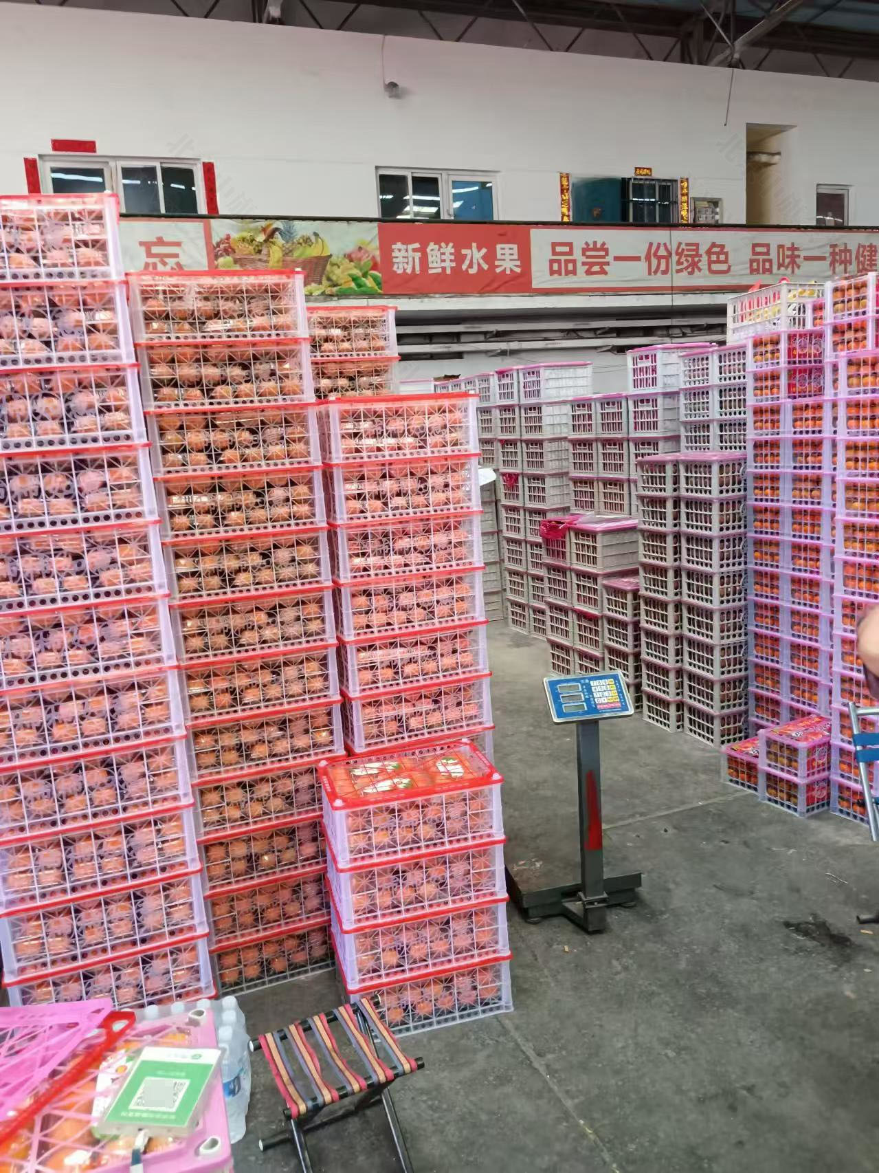 在进货的时候全是鸡蛋价格要比超市便宜多了.jpg