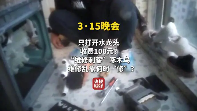 315晚会之维修刺客啄木鸟.png