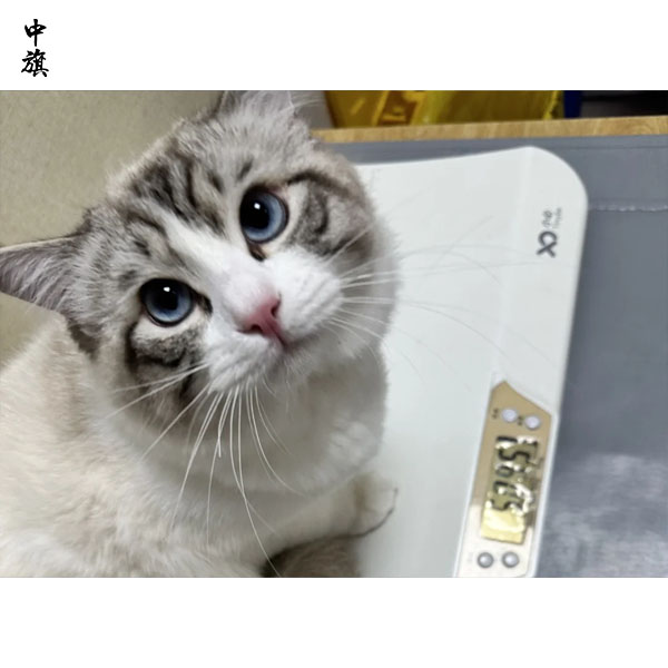 宠物医疗事故频发，如何选择靠谱的医院？