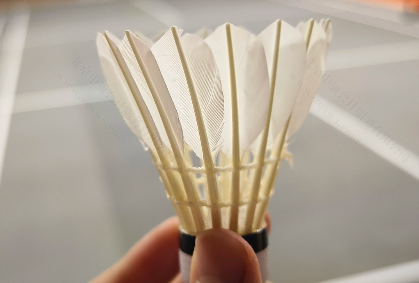 这是我经常用的羽毛球.jpg