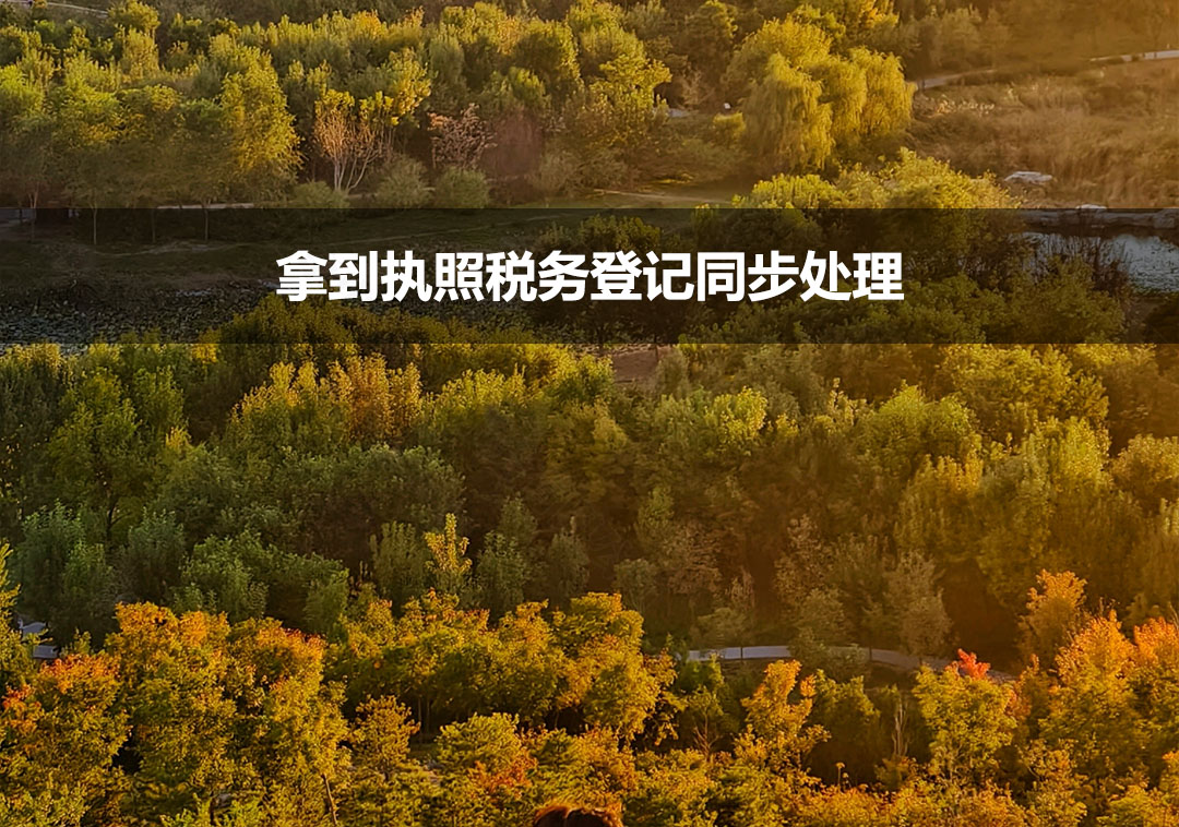 拿到执照税务登记同步处理.jpg
