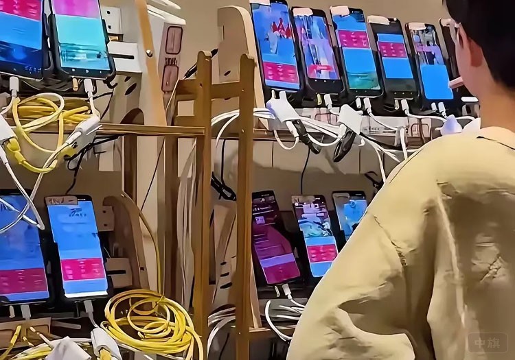 在线网络直播.jpg