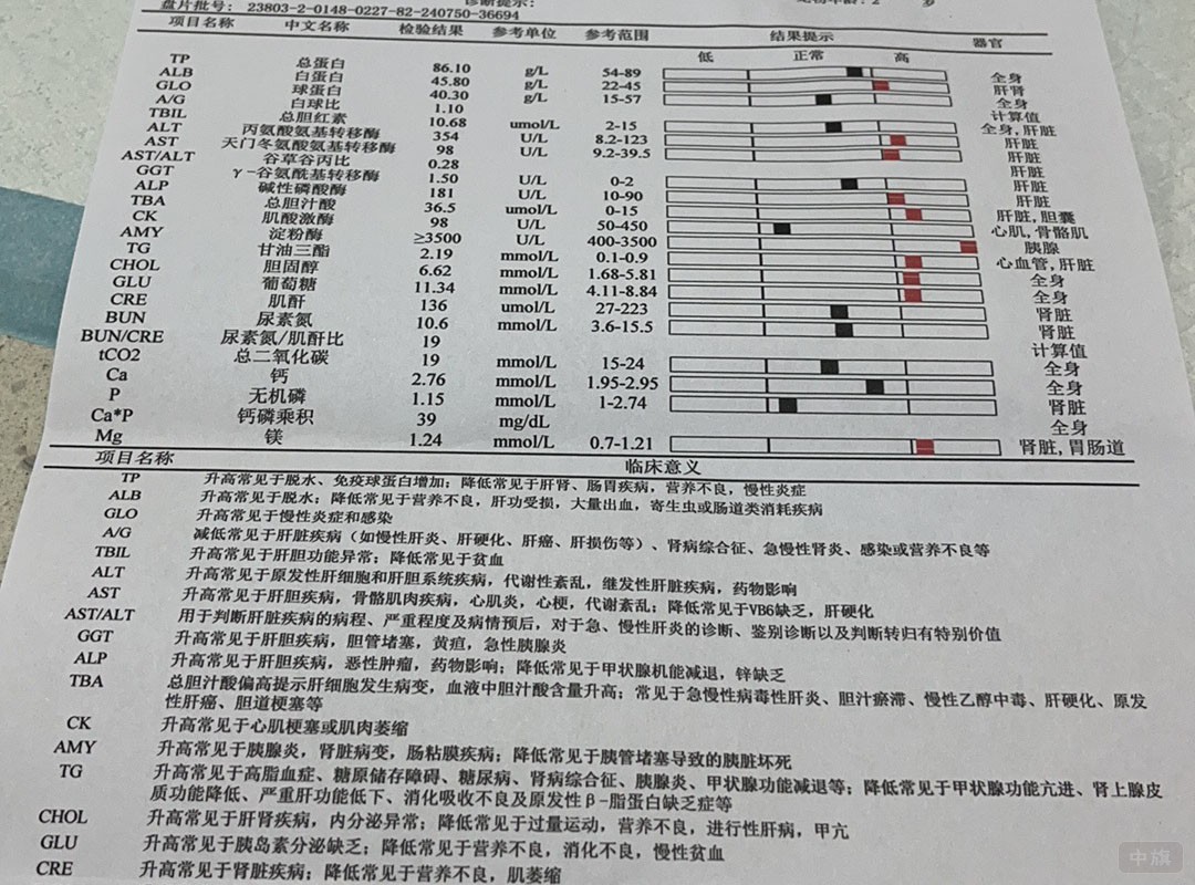 宠物诊断单.jpg