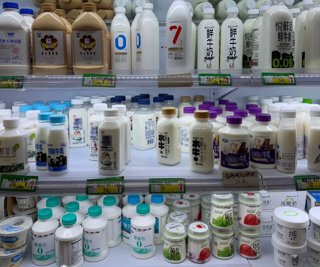 鲜牛奶、常温奶，到酸奶、奶酪一应俱全.jpg