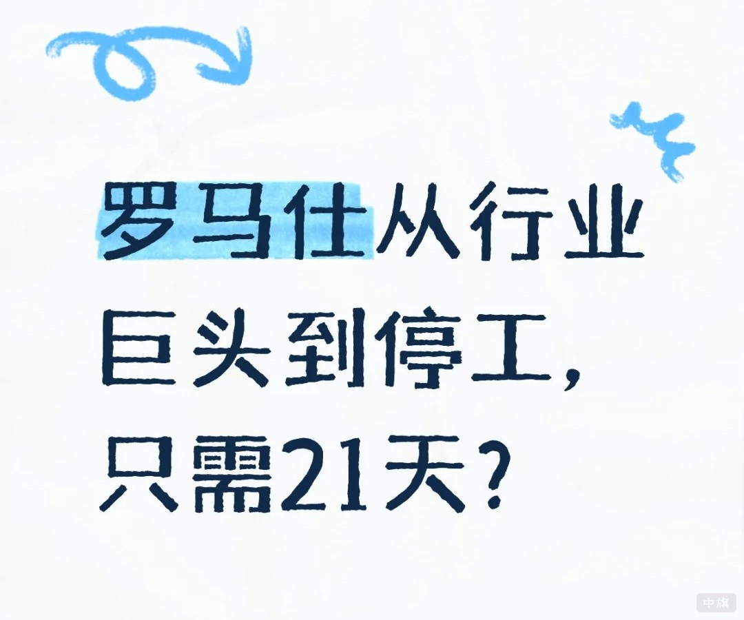 罗马仕充电宝从行业巨头到停工只用了21天.jpg
