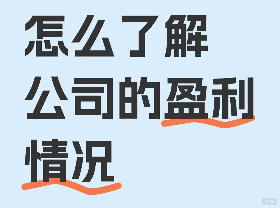 怎么了解公司的盈利情况.jpg