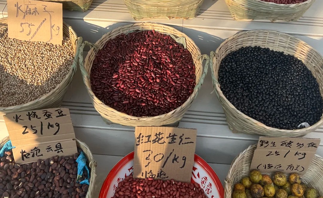 自家卖的种子