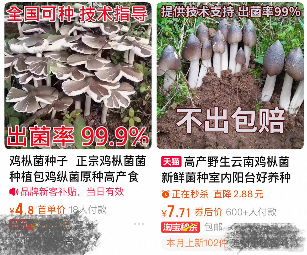 某平台上正在销售的种子