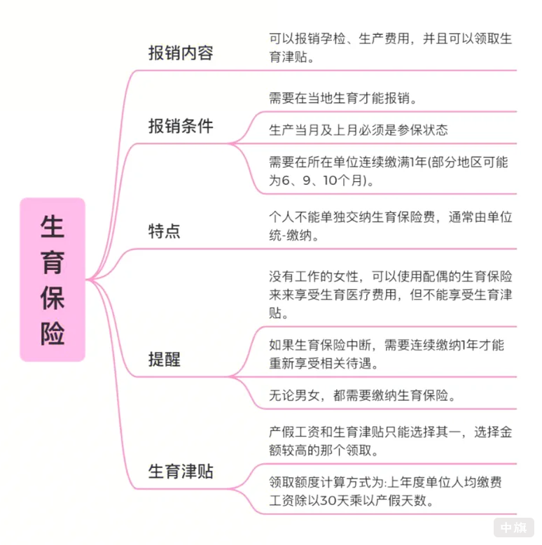 生育保险都包含了什么？