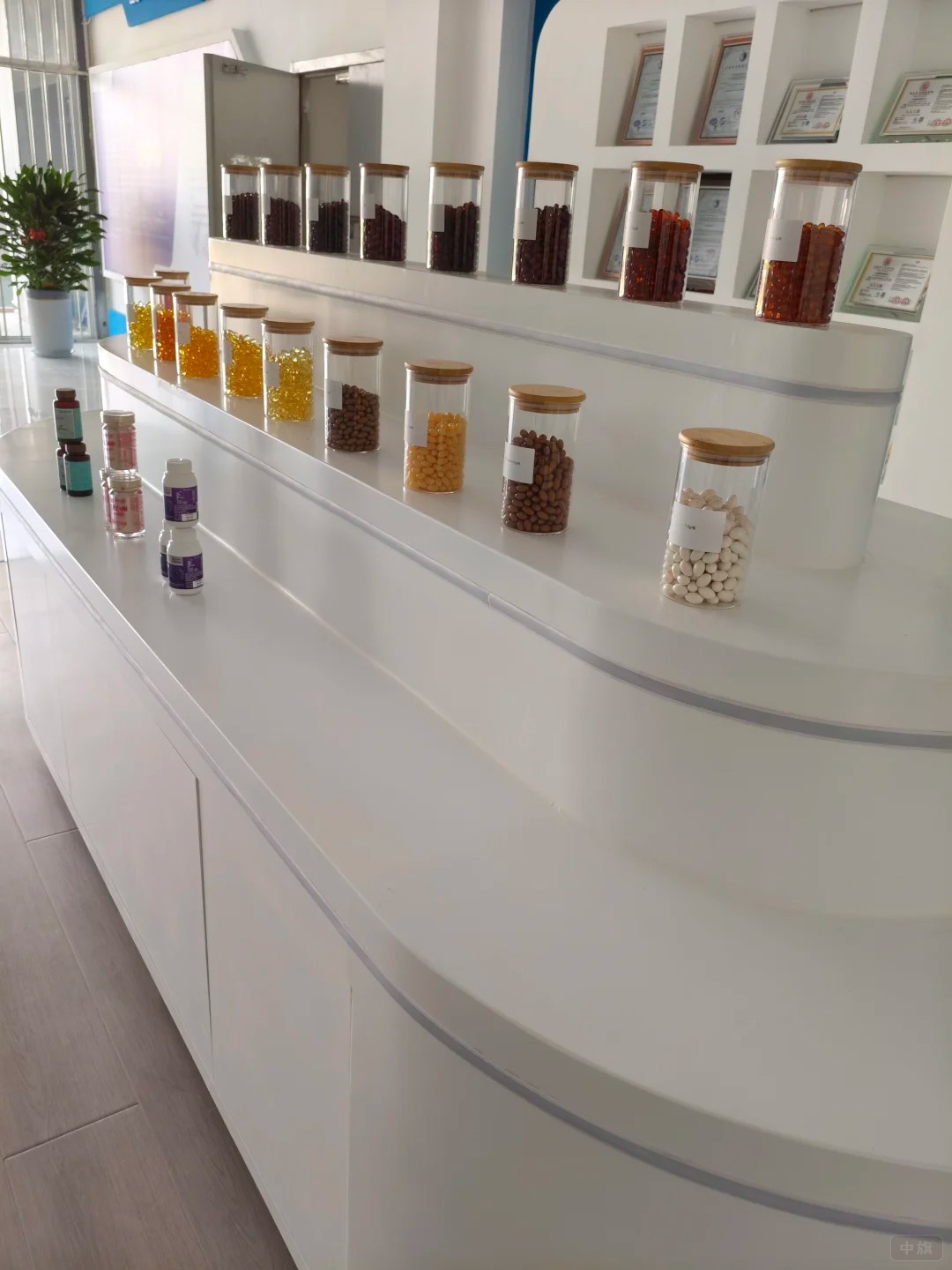 企业进口保健食品展示台