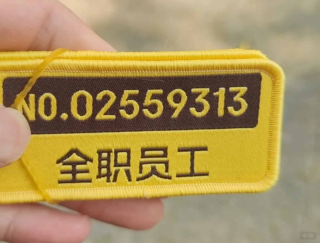全职员工