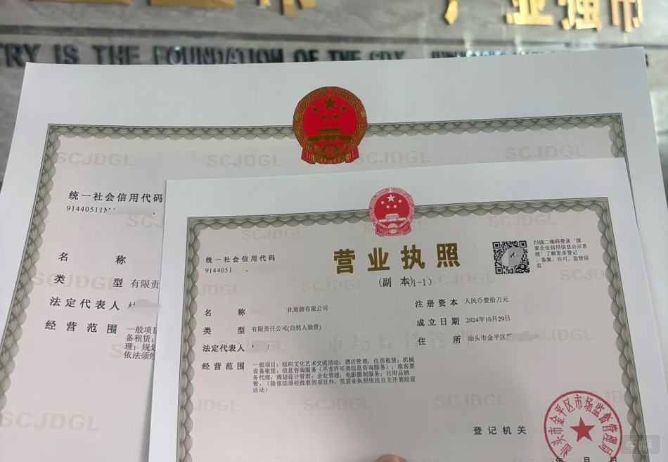 营业执照副本 营业执照副本