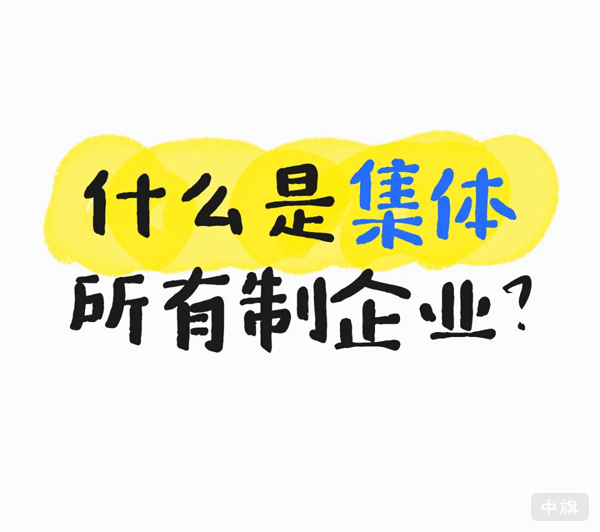 什么是集体所有制企业？