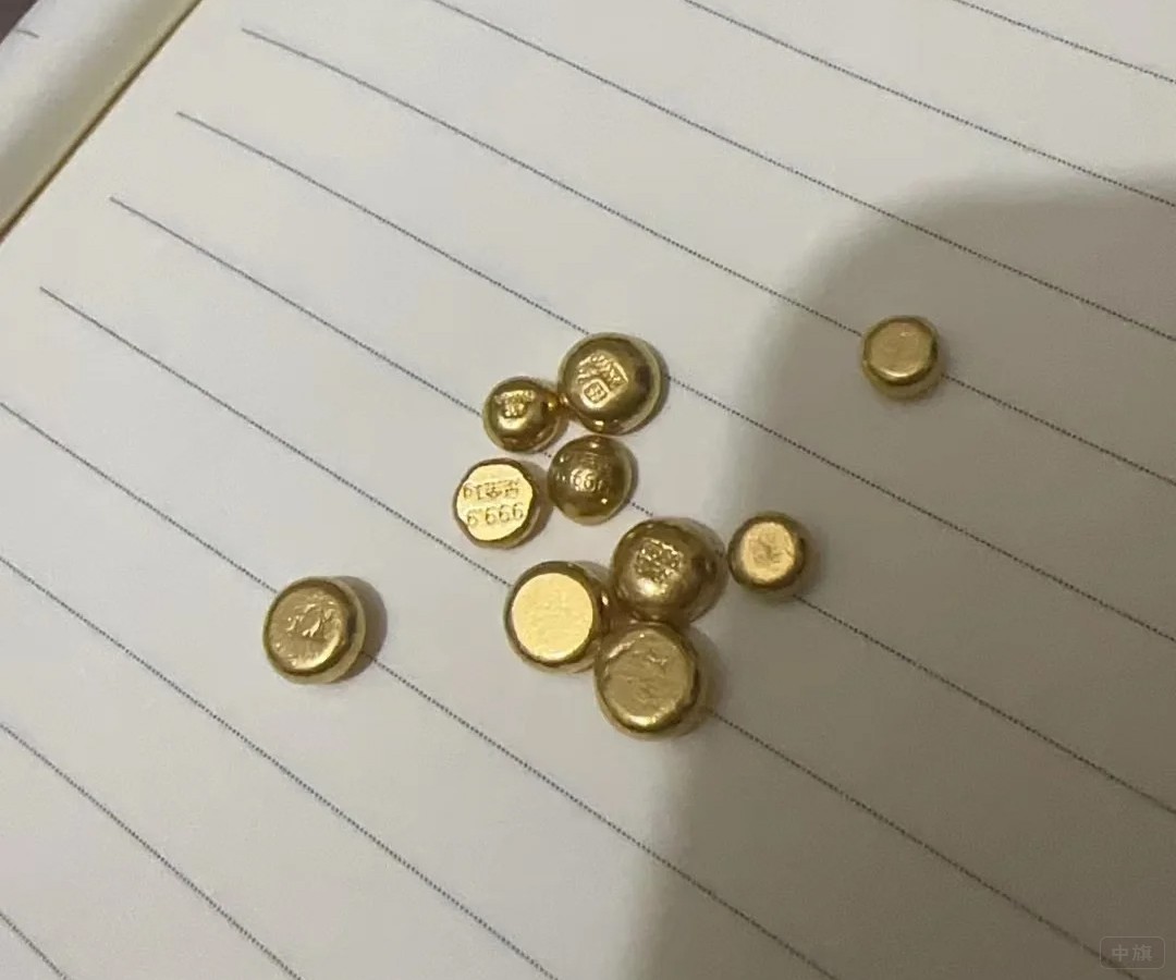 刚买回来的小金豆