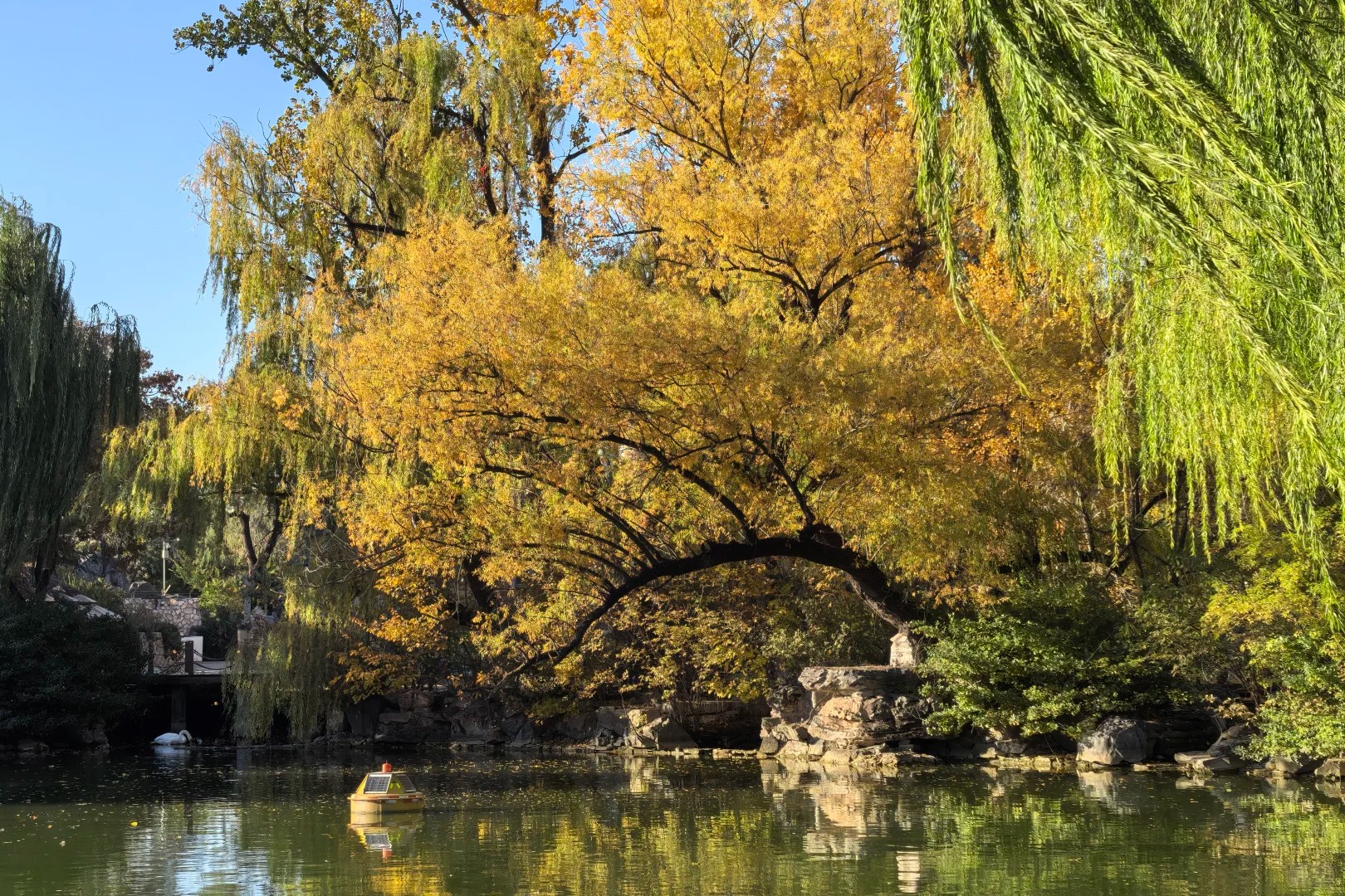 北京动物园实拍照片