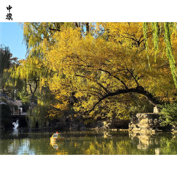 个人能开动物园么？需要哪些条件？