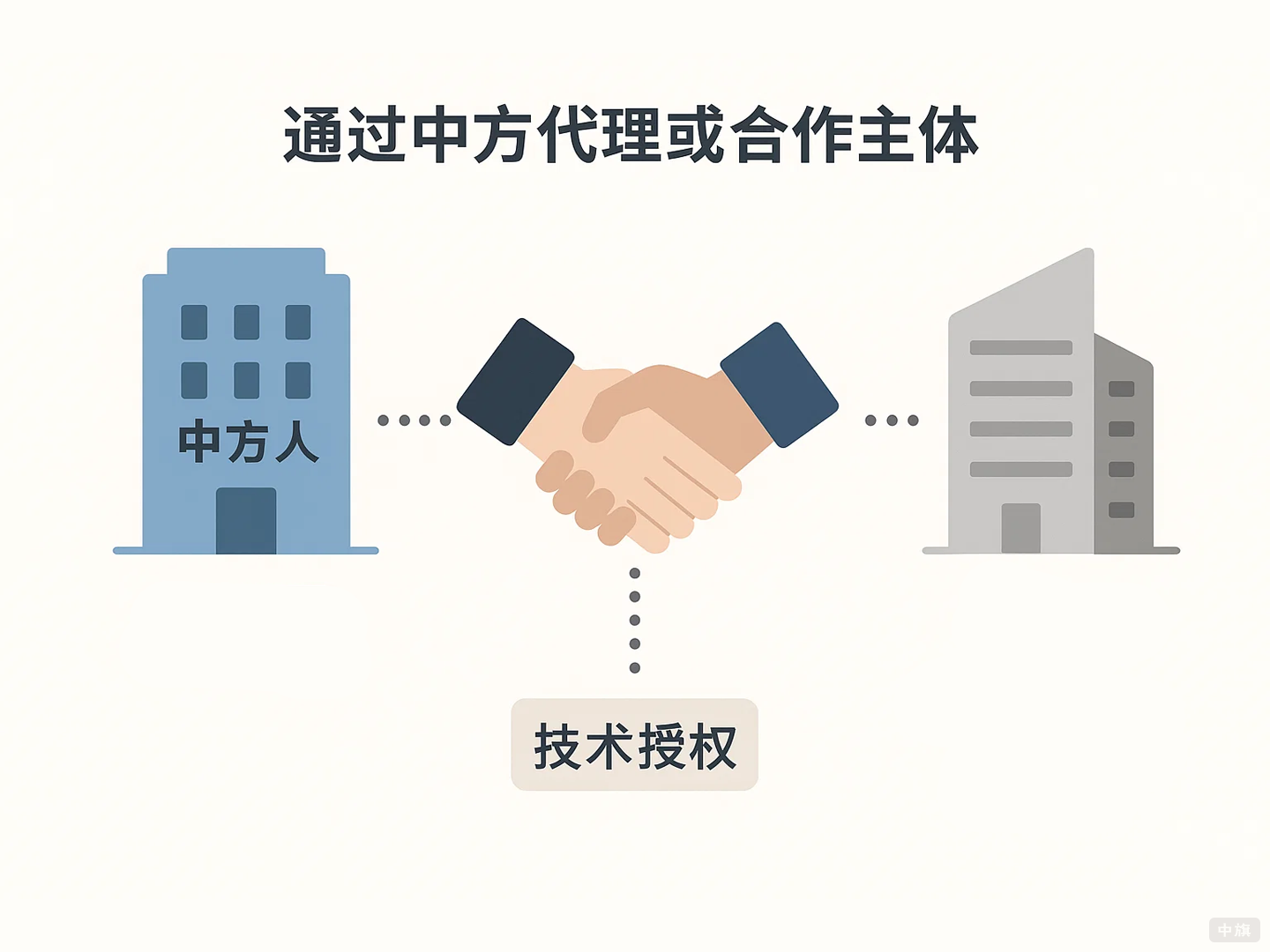 通过中方代理或合作主体 通过中方代理或合作主体