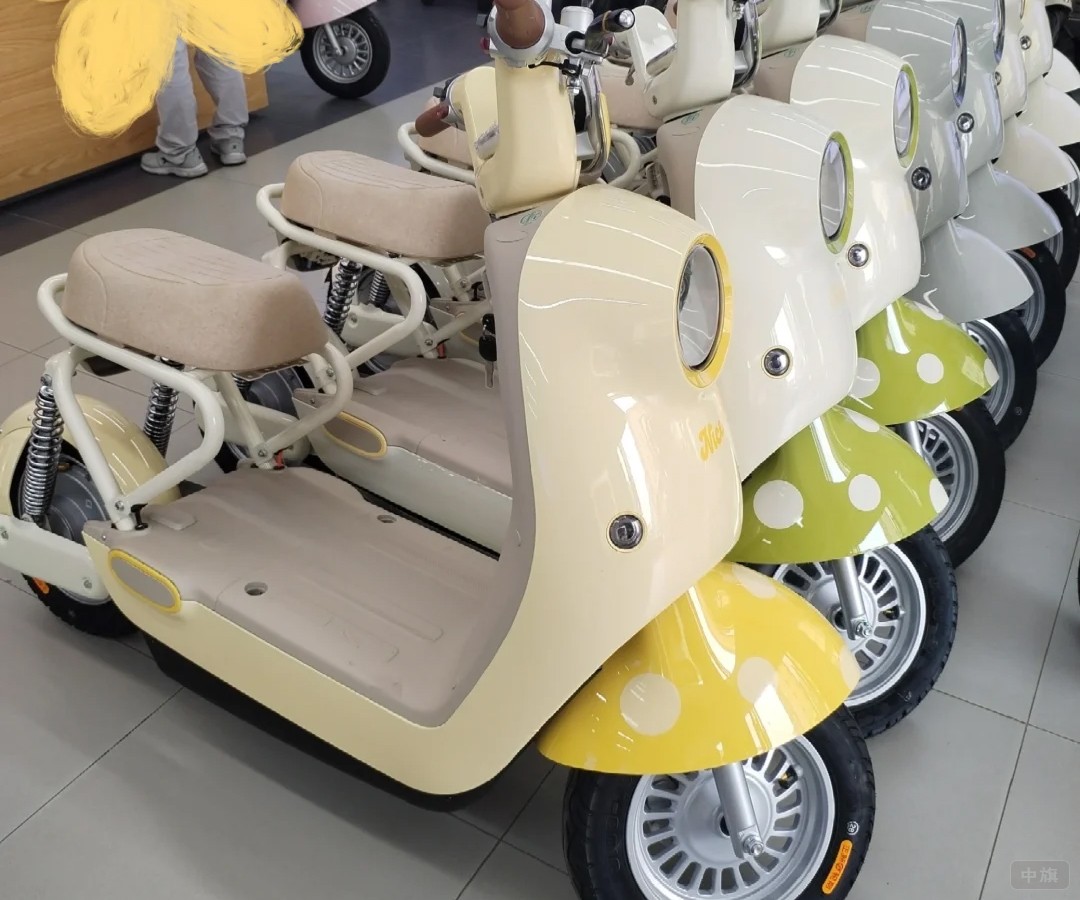 新国标的小座椅，好像只能坐一个人欸