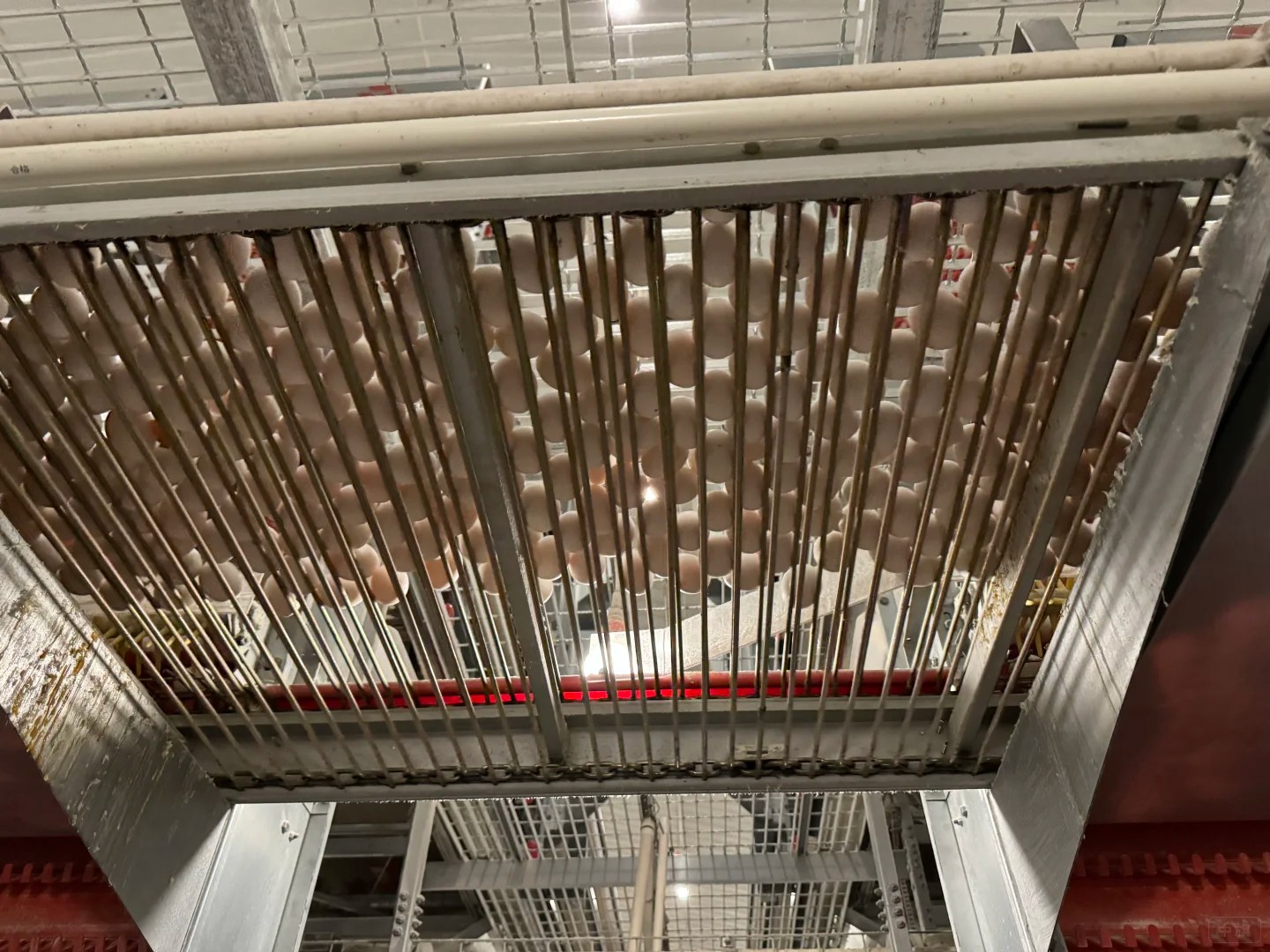 养殖场饲养需要控制成本