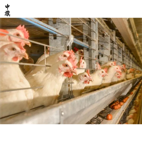 2026年开养殖场还能赚钱吗？