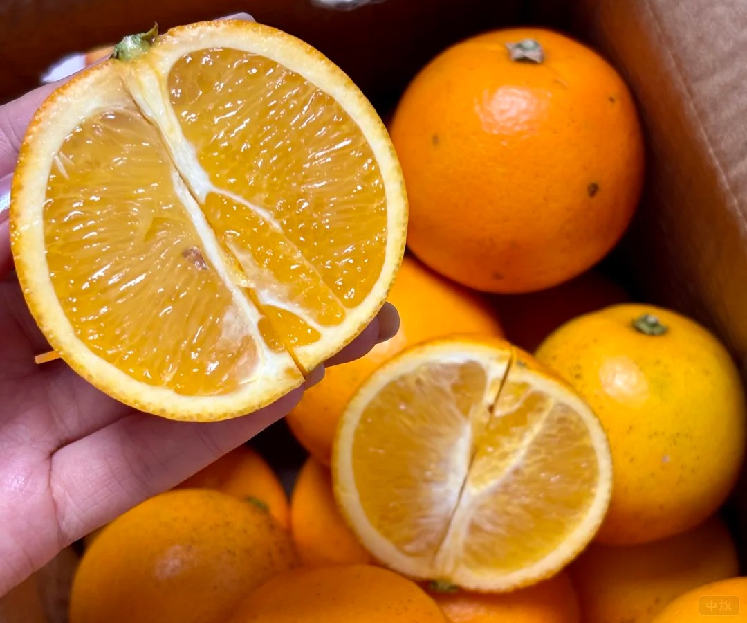 农民自产自销的橙子,采摘下来就可以卖 农民自产自销的橙子,采摘下来就可以卖