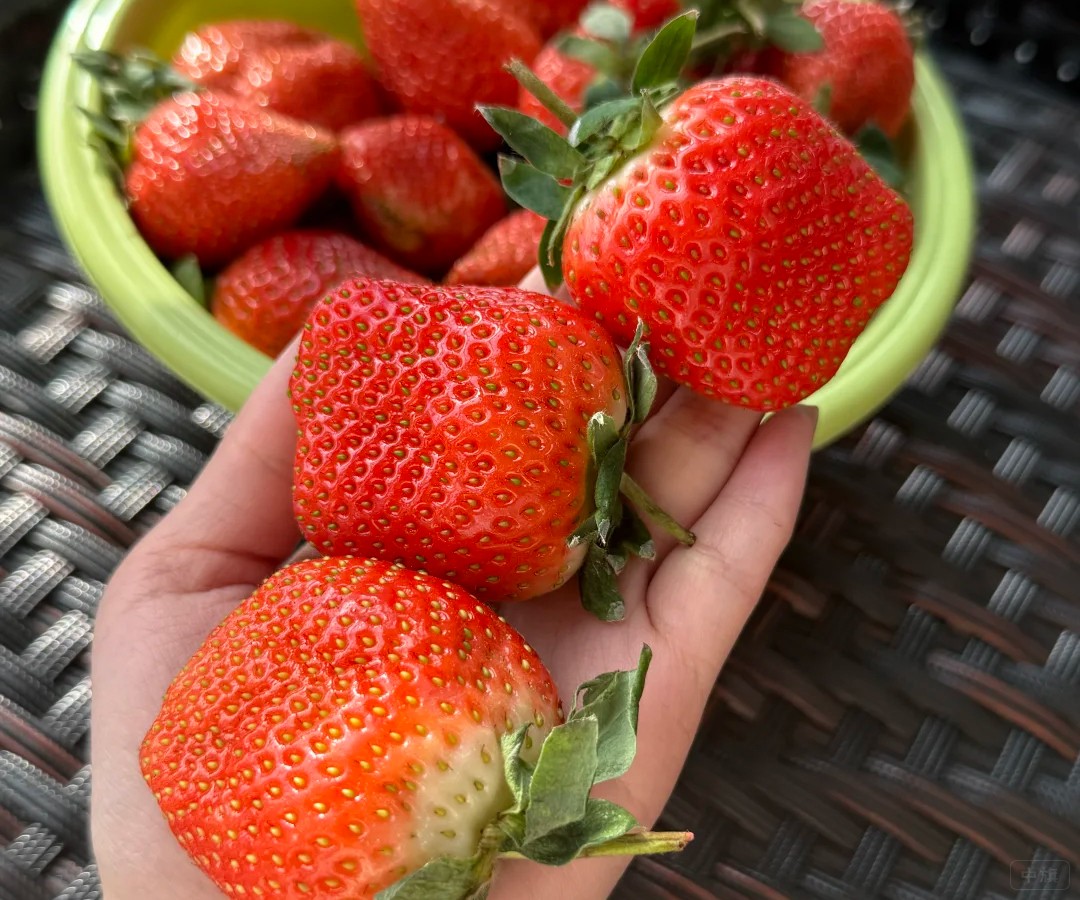 农民自家种的草莓 农民自家种的草莓