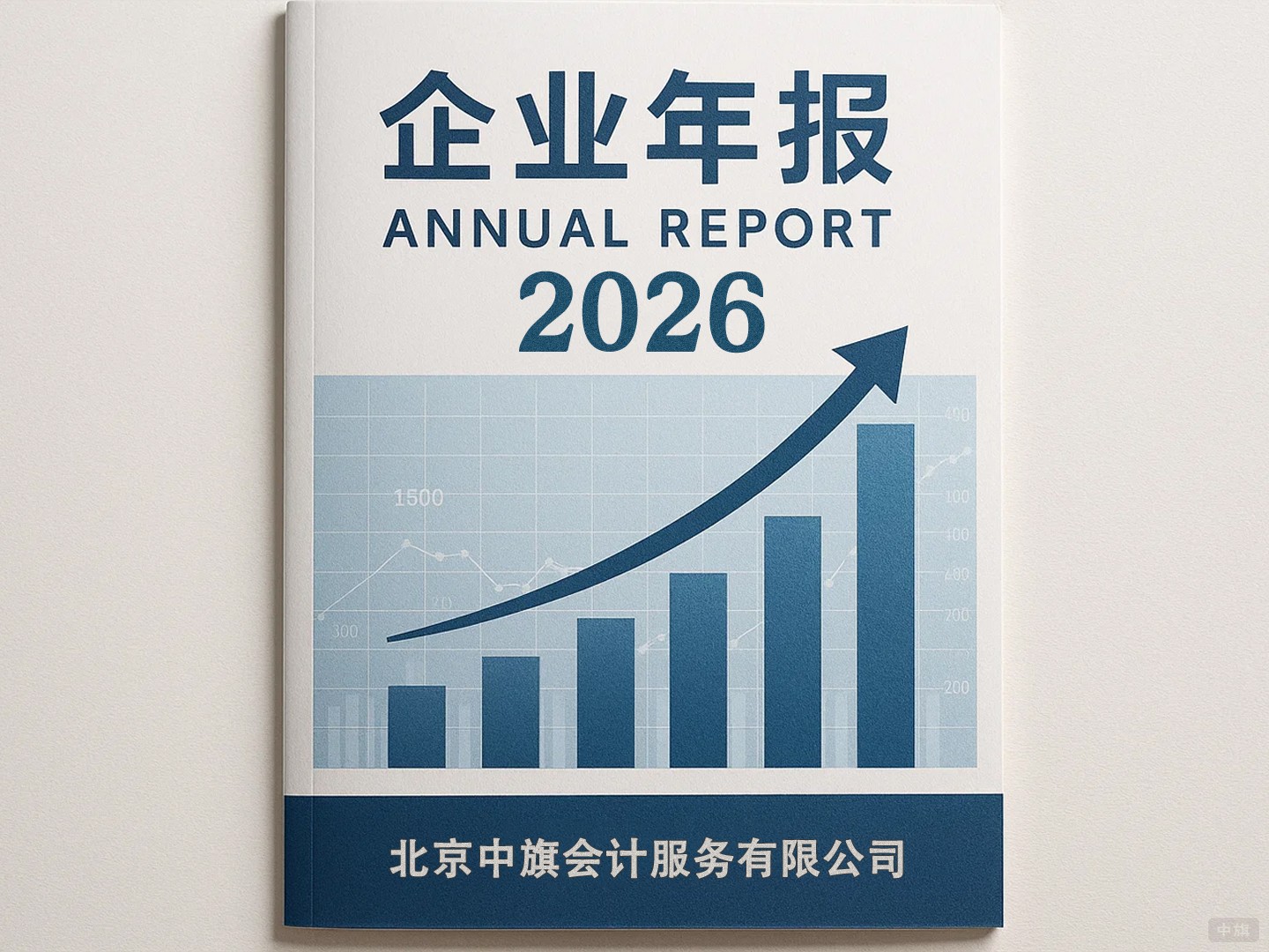 2026年企业年报 2026年企业年报