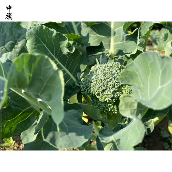 农民合作社可以办理《食品经营许可证》吗？