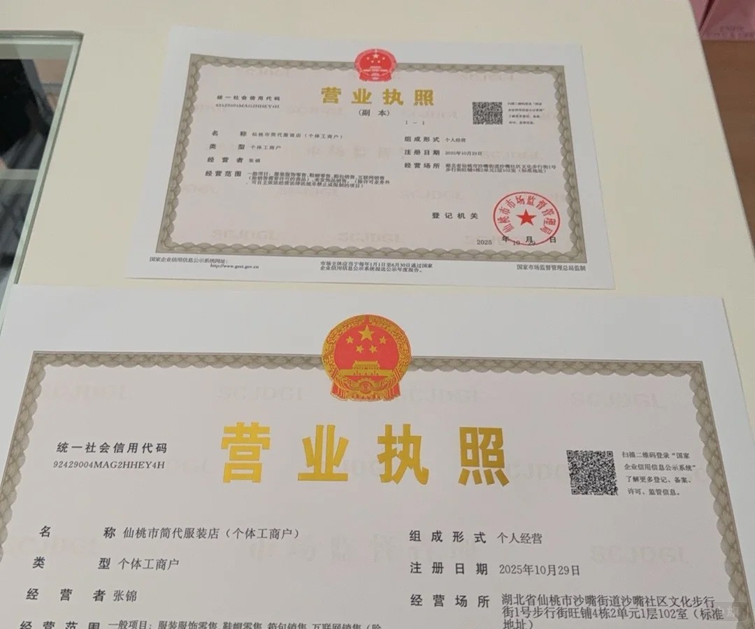 办理的营业执照